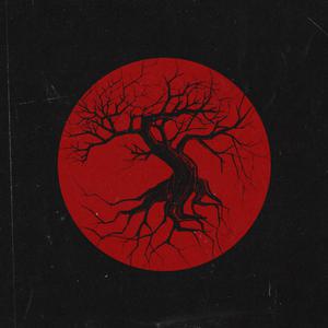 京普视频网页版入口
