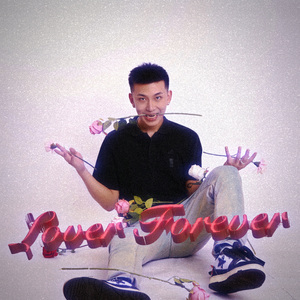 京普视频网页版入口
