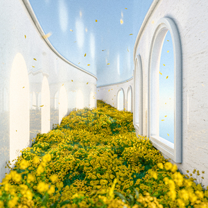 京普视频网页版入口
