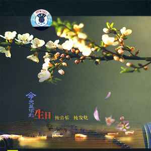 京普视频网页版入口
