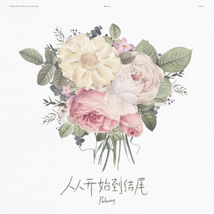 京普视频网页版入口
