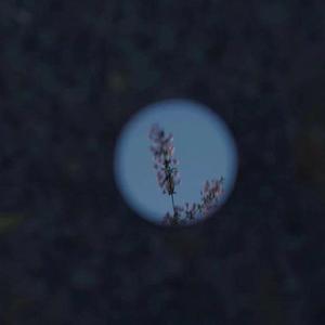 京普视频网页版入口
