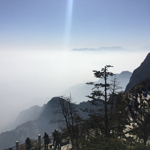 京普视频网页版入口
