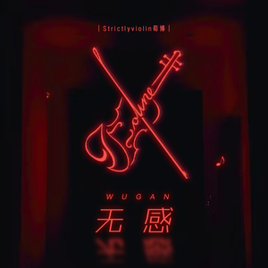 京普视频网页版入口
