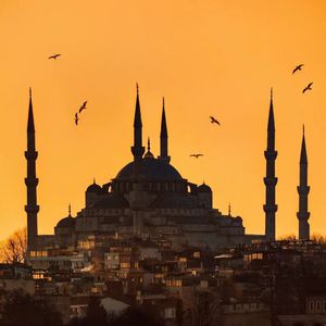 京普视频网页版入口
