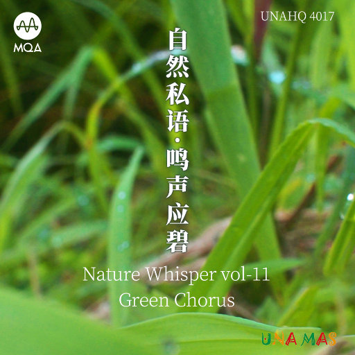 京普视频网页版入口
